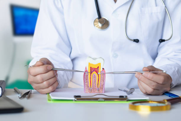  Red Springs, NC Emergency Dentist Pros